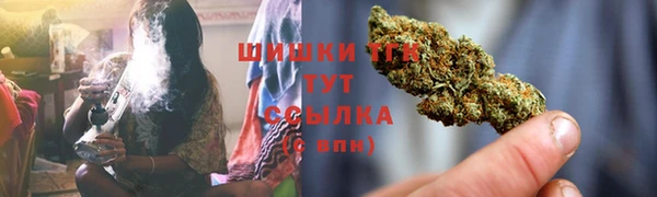 меф Гусев