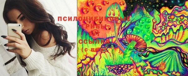 мескалин Гусь-Хрустальный