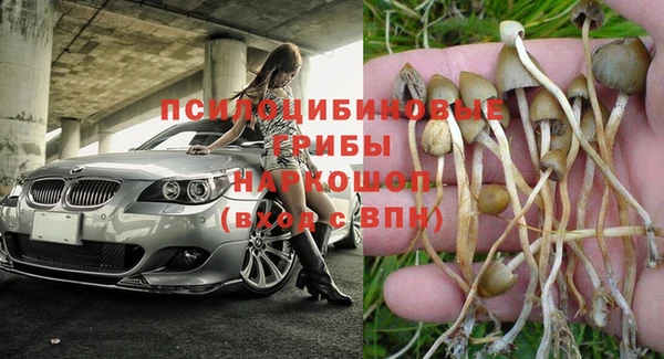 мескалин Гусь-Хрустальный
