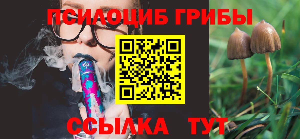 Псилоцибиновые грибы Psilocybine cubensis  Вход с VPN  Наро-Фоминск  Псилоцибиновые грибы прущие грибы 